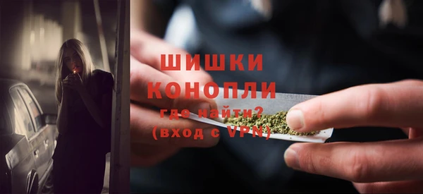 стафф Тольятти