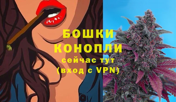 винт Ижевск