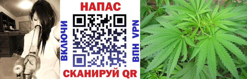 наркотики  Дорогобуж  Каннабис SATIVA & INDICA 